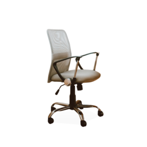 Accueil working chair with armrest